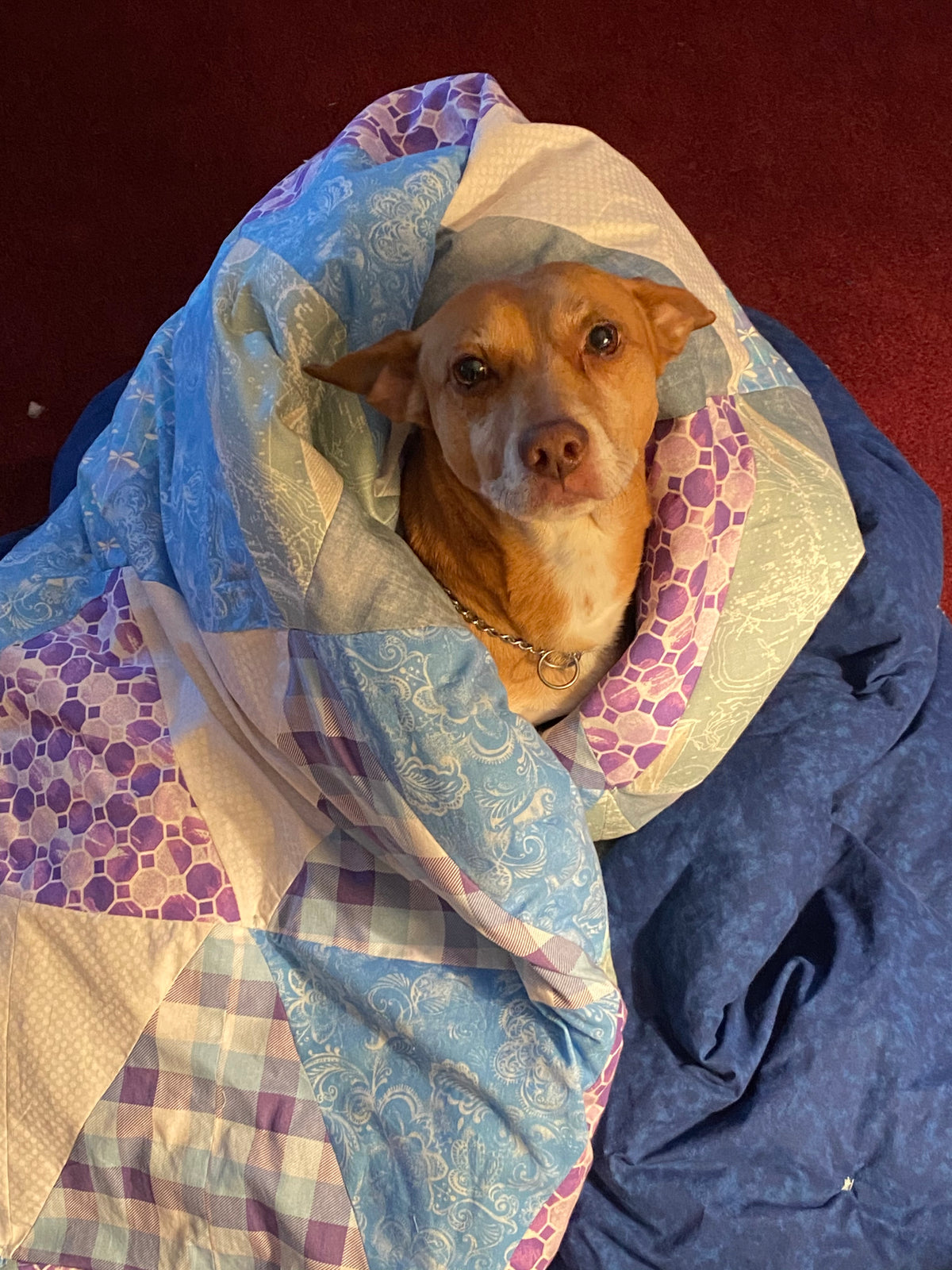 Custom Made-to-Order Quilts