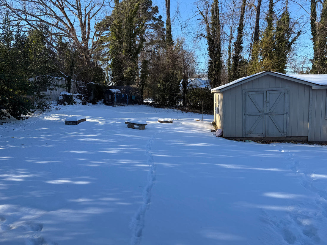 A Taste of Winter!