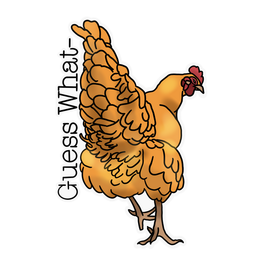 Fun Decorative Stickers